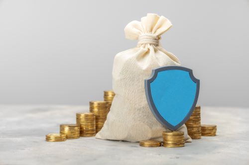 Bag of money with a shield in front of it