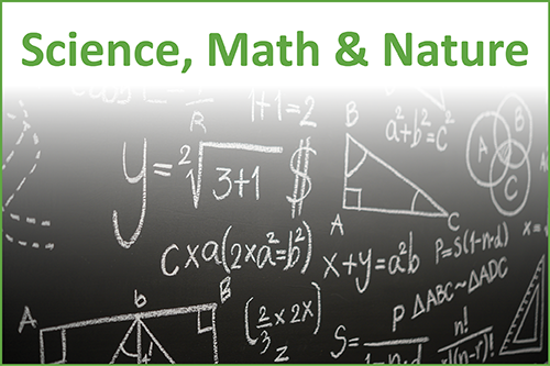 Mathematic formulas