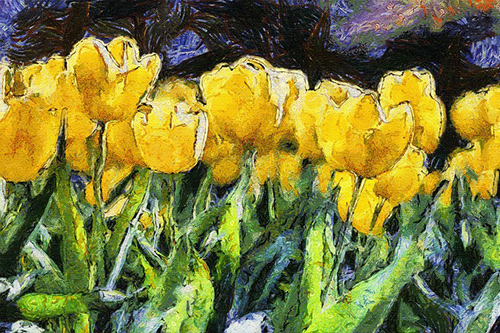American Impressionism impressionist painting of tulips