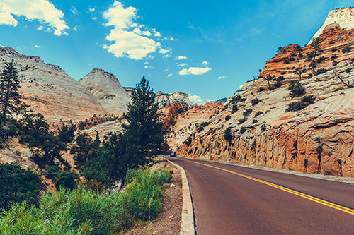 Road view with mountains and trees along the side and in distance