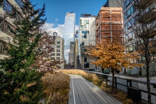 The High Line: NYC’s Fabulous Urban Park – Washington Metro Oasis Store