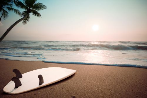 Hold: Surfboard on beach Surfboard on beach at sunset