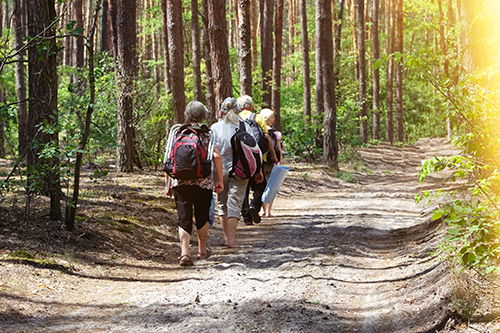 Elderly people is walking on trail in forest. Sunny summer day. Active retired seniors walking in green park.