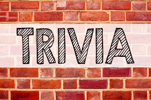 Drawing of the word "Trivia"