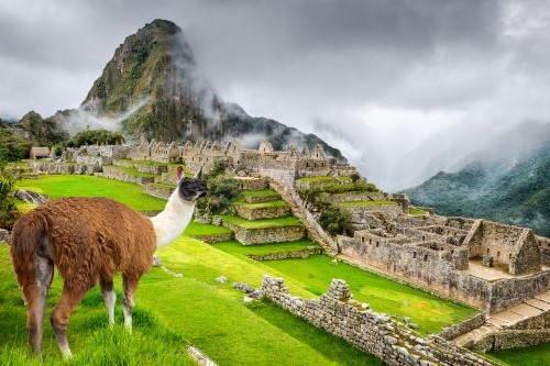 View of Machu Picchu in Peru with llama in foregrond
