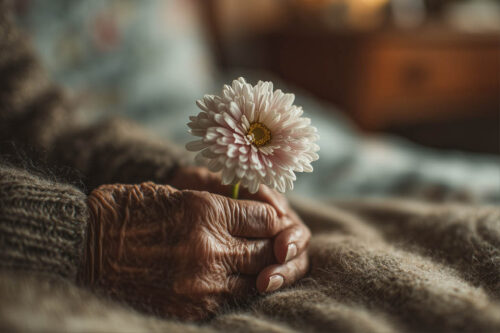 Close up photo of a hand holding flowers