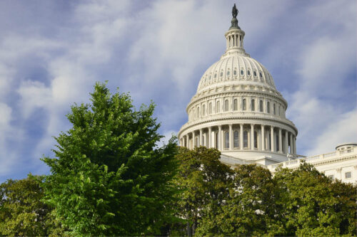 Photo of Capitol Dome with trees in the foreground