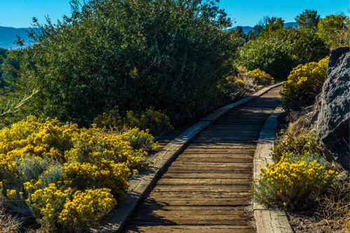 old wooden railroad tracks