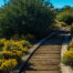 old wooden railroad tracks