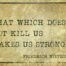 Friedrich Nietzsche quote that says "that which does not kill us makes us strong"